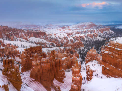 Snowstorm at bryce canyon