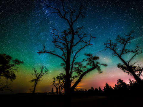 Starry aurora sky