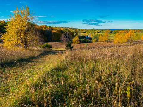 Colorful autumn morning on the bay view trail