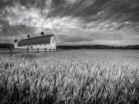 Afternoon on dh day farm