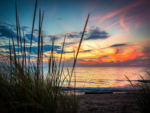 Beach grass sunset