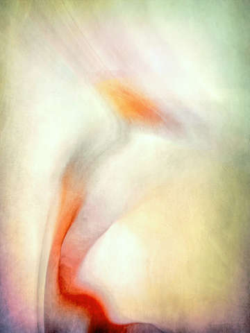 Phyllisshenny redswirl3
