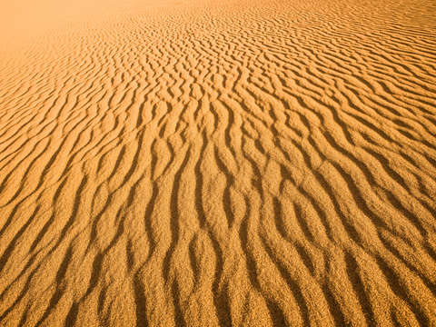 Sand dune