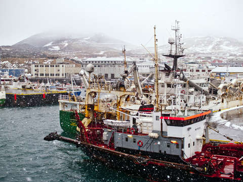 Vestmannaeyjar harbor iceland