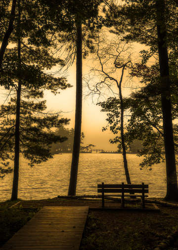 Golden morning on lost lake