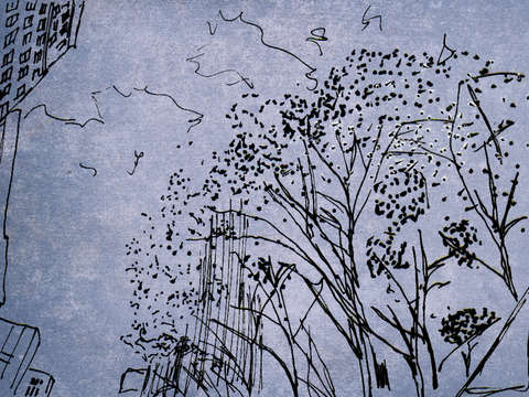 Trees in tribeca