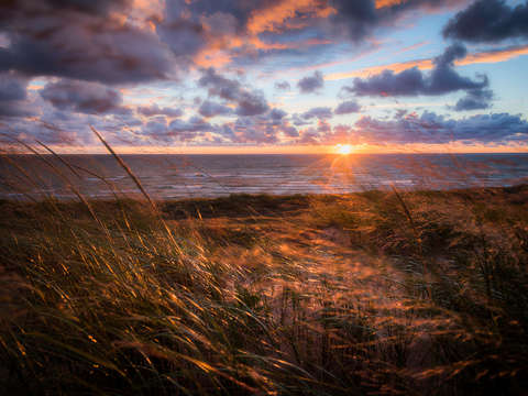 Beachfront sunset on lake michigan