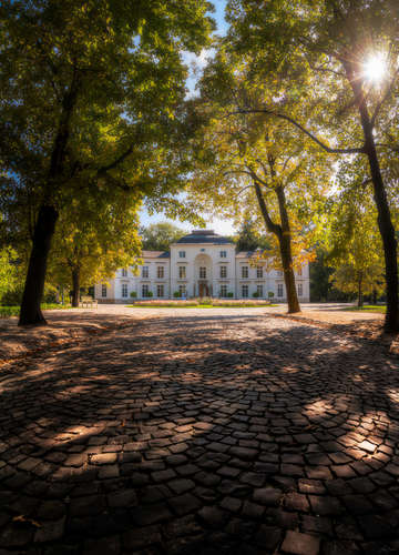 Cobblestones at myslewicki palace warsaw