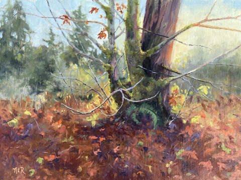 Maple 2