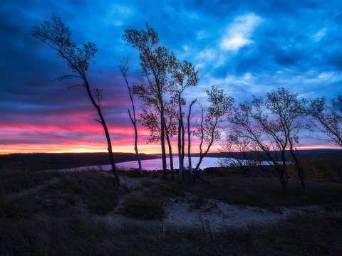 Pink dawn