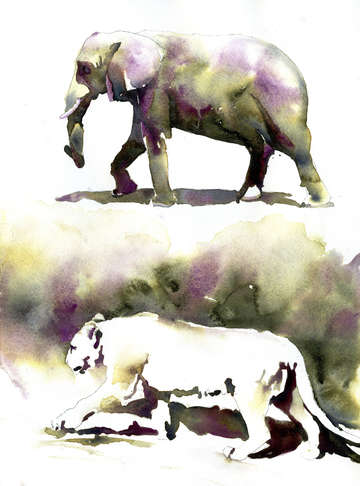 Animals 2x1