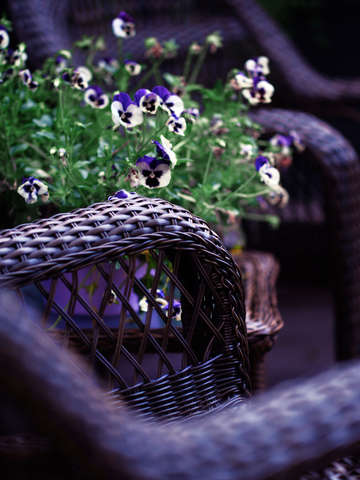 Twilight textures