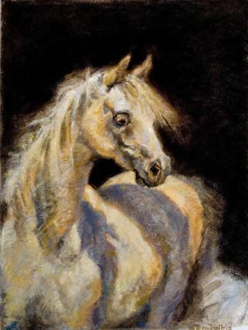 Little white mare