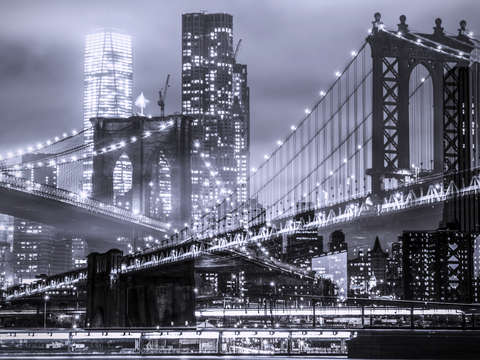 Brooklyn manhattan bridges