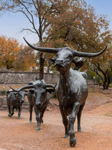 Texas cattle drive pioneer plaza
