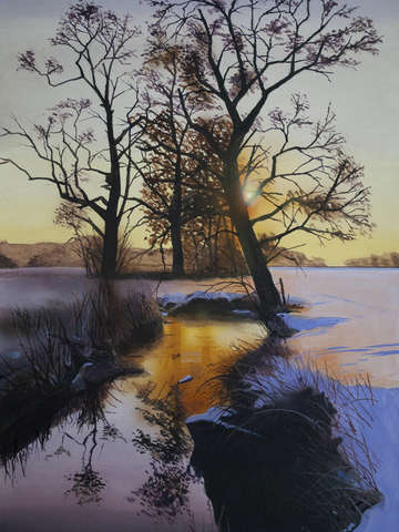 Morning light 15
