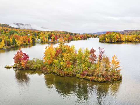 New england foliage