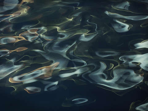 H2o 1