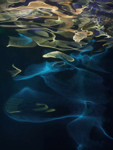 H2o 49