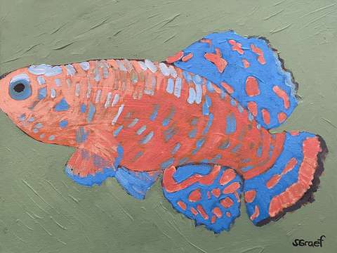 Bluefin