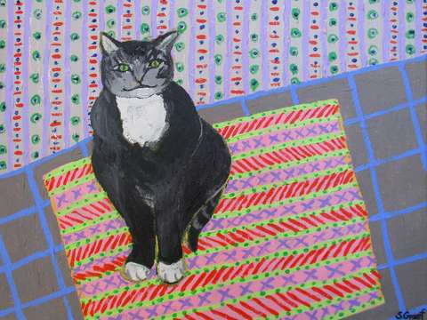 Tuxedo cat