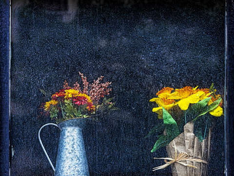 Flowers in a dirty window