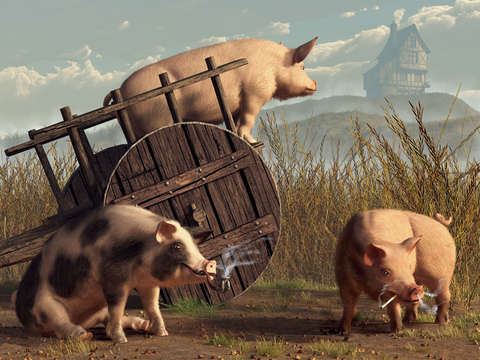 Rough crowd of the farmyard