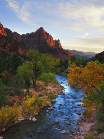 The Watchman