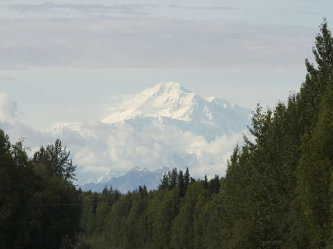 Mt denali alaska