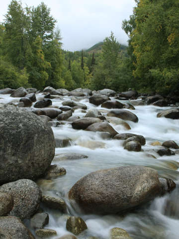 Alaskan rocky stream