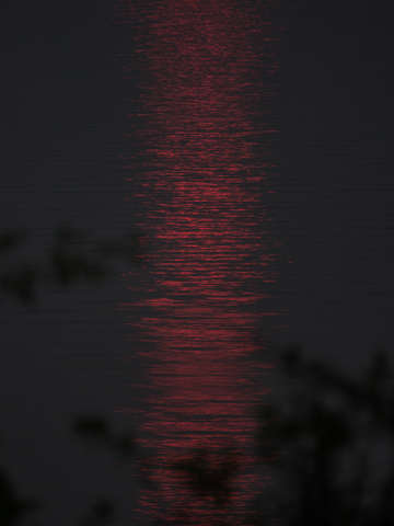 Red on a water