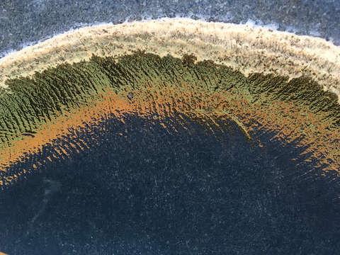 Birdbath 4