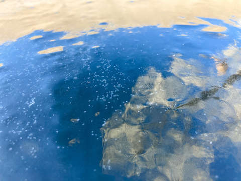 Birdbath 5
