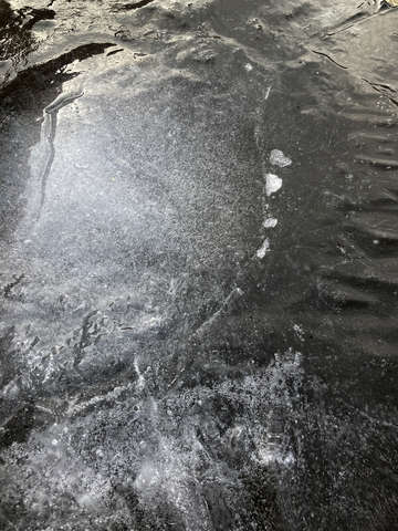 Birdbath 6