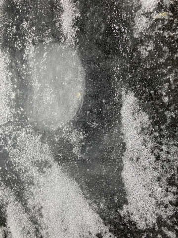 Birdbath 10