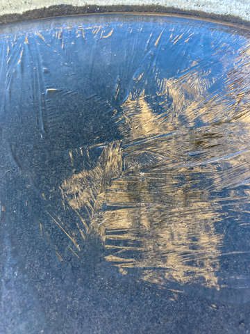 Birdbath 11