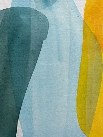 Living colorfully ix