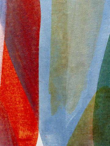 Living colorfully xii