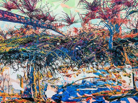 Landscapes from the anthropocene