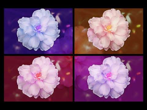 Flower art