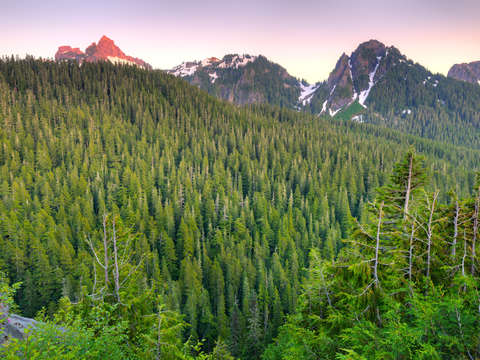 Mount rainier national park 5