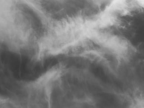 Untitled l2101060