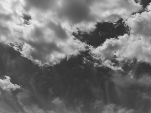 Untitled l1901504