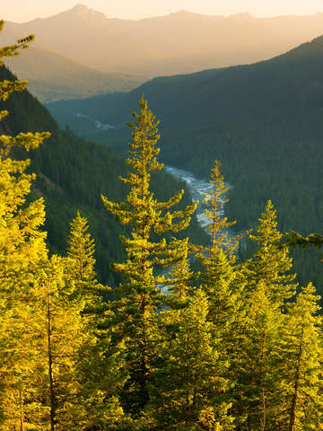 Paradise river