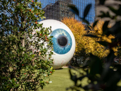 Giant eyeball 1