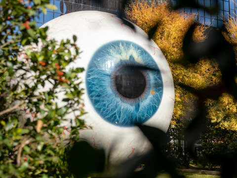 Giant eyeball 2
