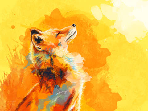 Blissful light fox portrait