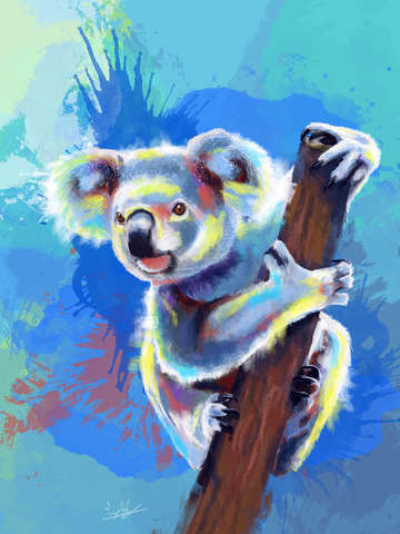 Koala bear