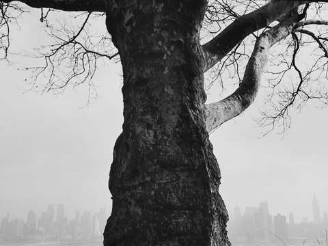 Untitled 0650 40