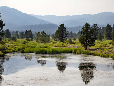 Ponderosa pine scenic byway 1